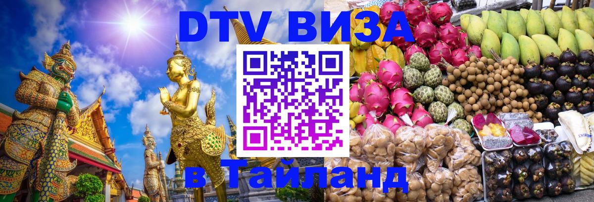 Оформление DTV визы под ключ: стоимость и тарифы, только загранпаспорт - Тирана 